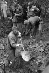 Åpning av graver i krigsfangeleiren på Falstad. Mannen med s