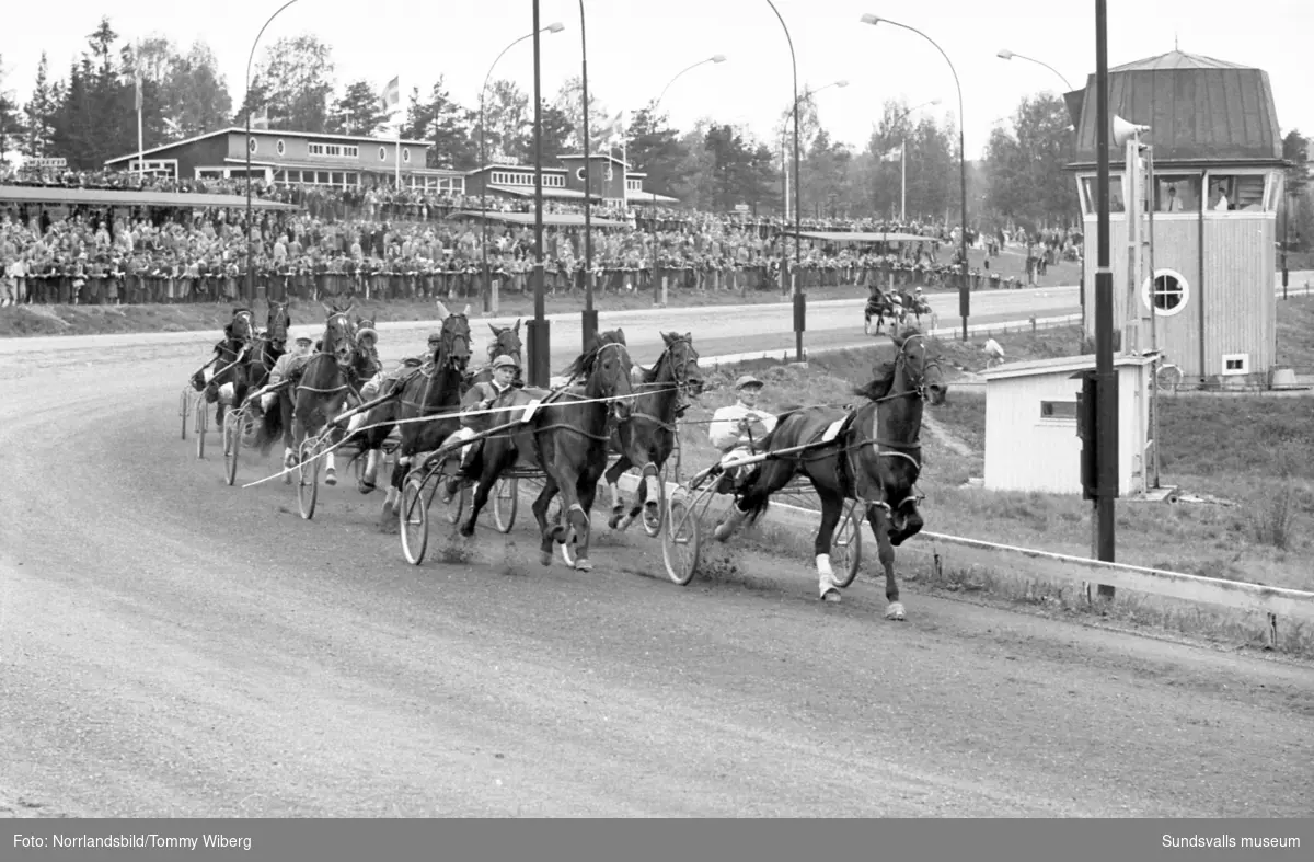 Bilder från en tävlingsdag på Bergsåkers travbana i maj 1960.