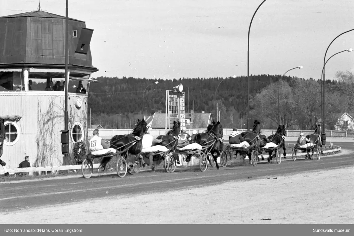 Nordsvenska travmästerskapen på Bergsåkers travbana 1962.