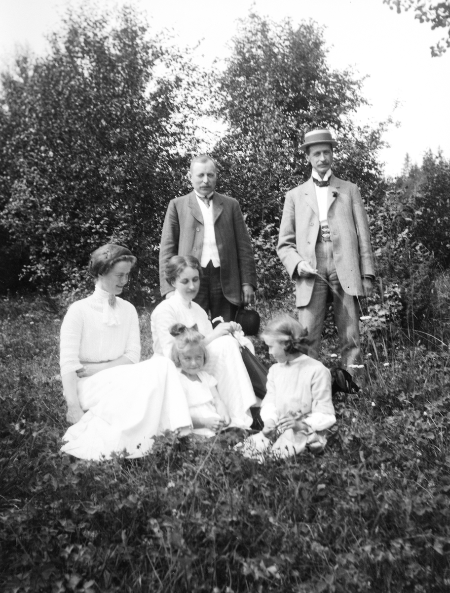 Familie, Grefsheim gård, Nes Hedmark.