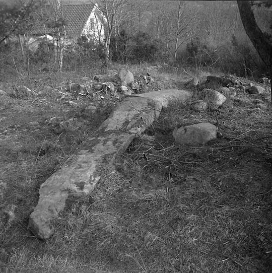Vindbräcka-stenen i Holländaröd, ett gravmonument från järnåldern.