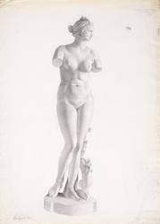 Studie [Studentarbeid]