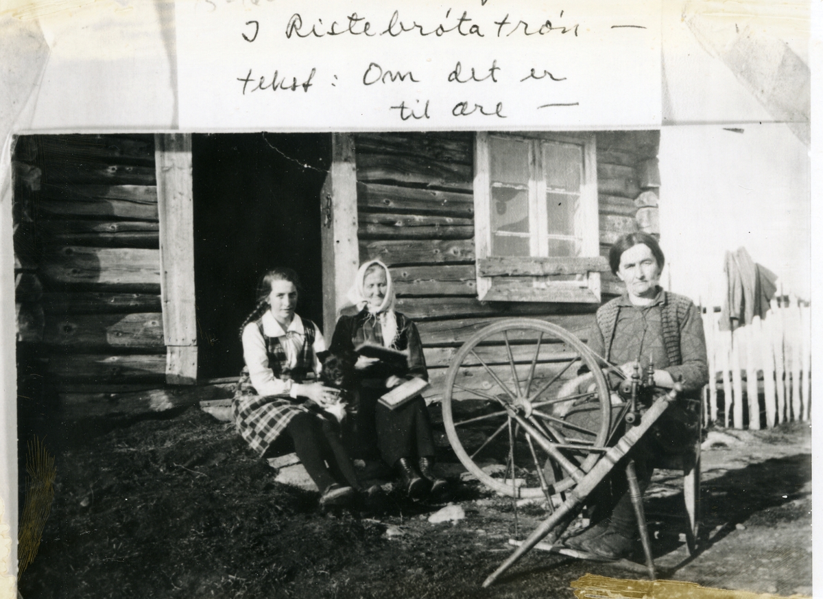 Tre kvinner framfor døra på stølssæl, arbeidande med spinning og karding. Ein hund sit mellom dei to kvinnene på troppa