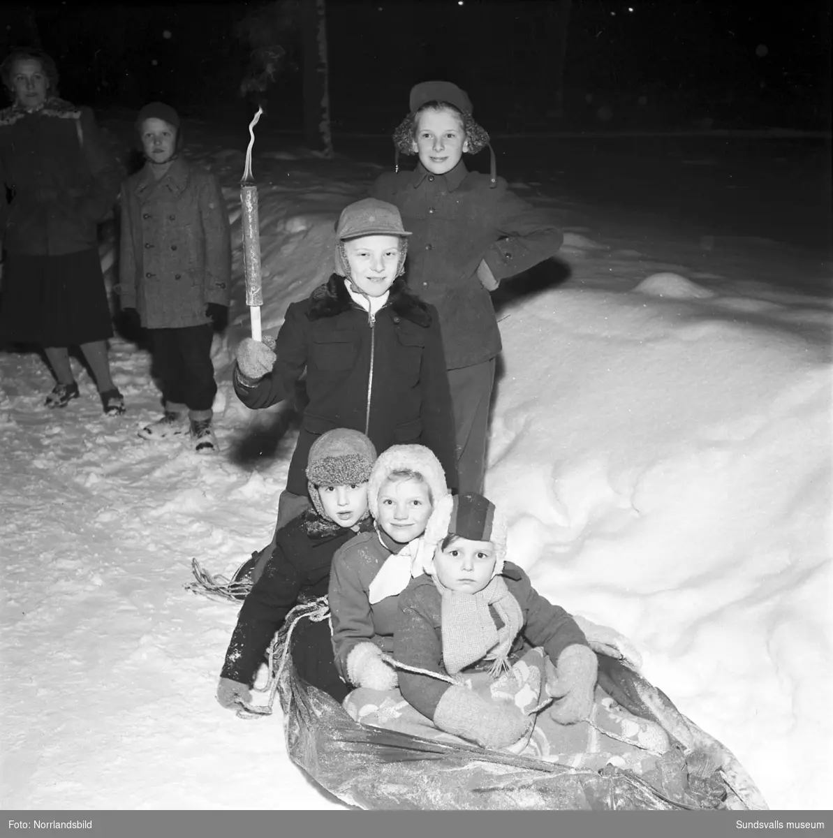 Barn får åka pulka efter draghundar i centrala Sundsvall i samband med draghunds-SM.