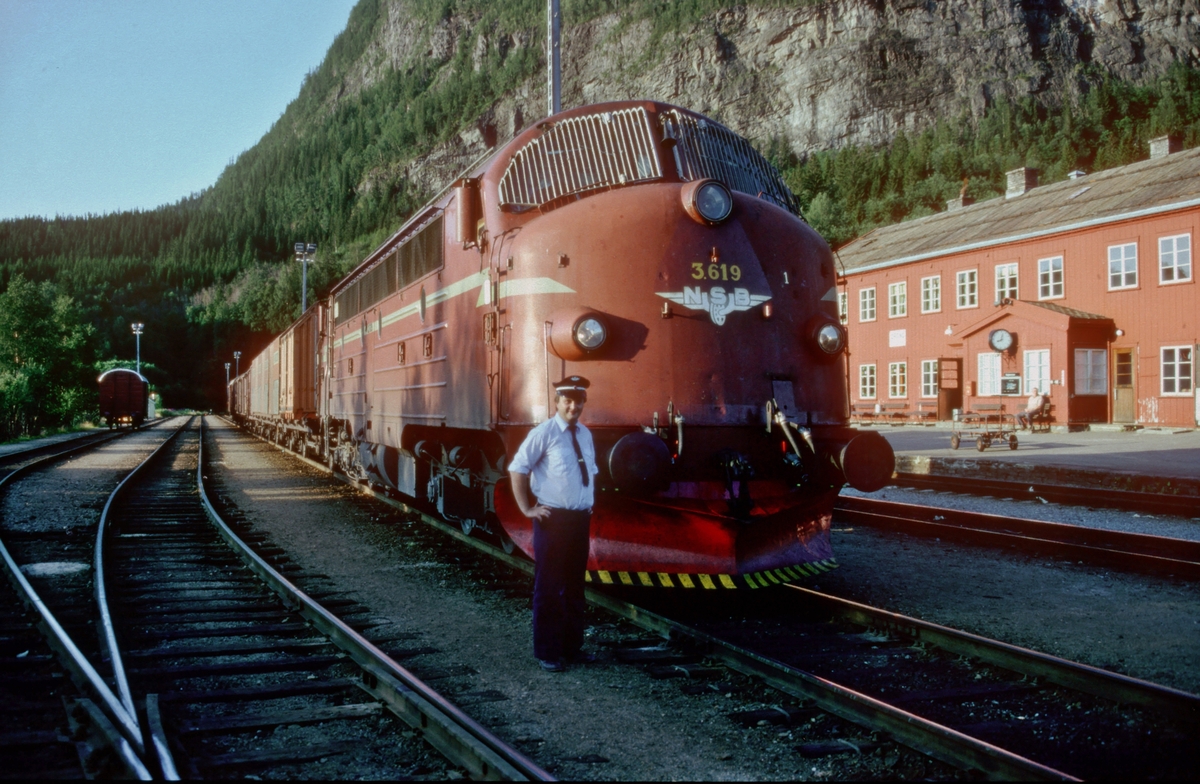 Lokomotivførerassistent Erik Borgersen foran lokomotiv Di 3 619 med godstog 5792 (Bodø - Trondheim) i Grong.