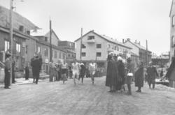 "Fra starten i Hammerfest-stafetten i 1954, til høyre Per Bj