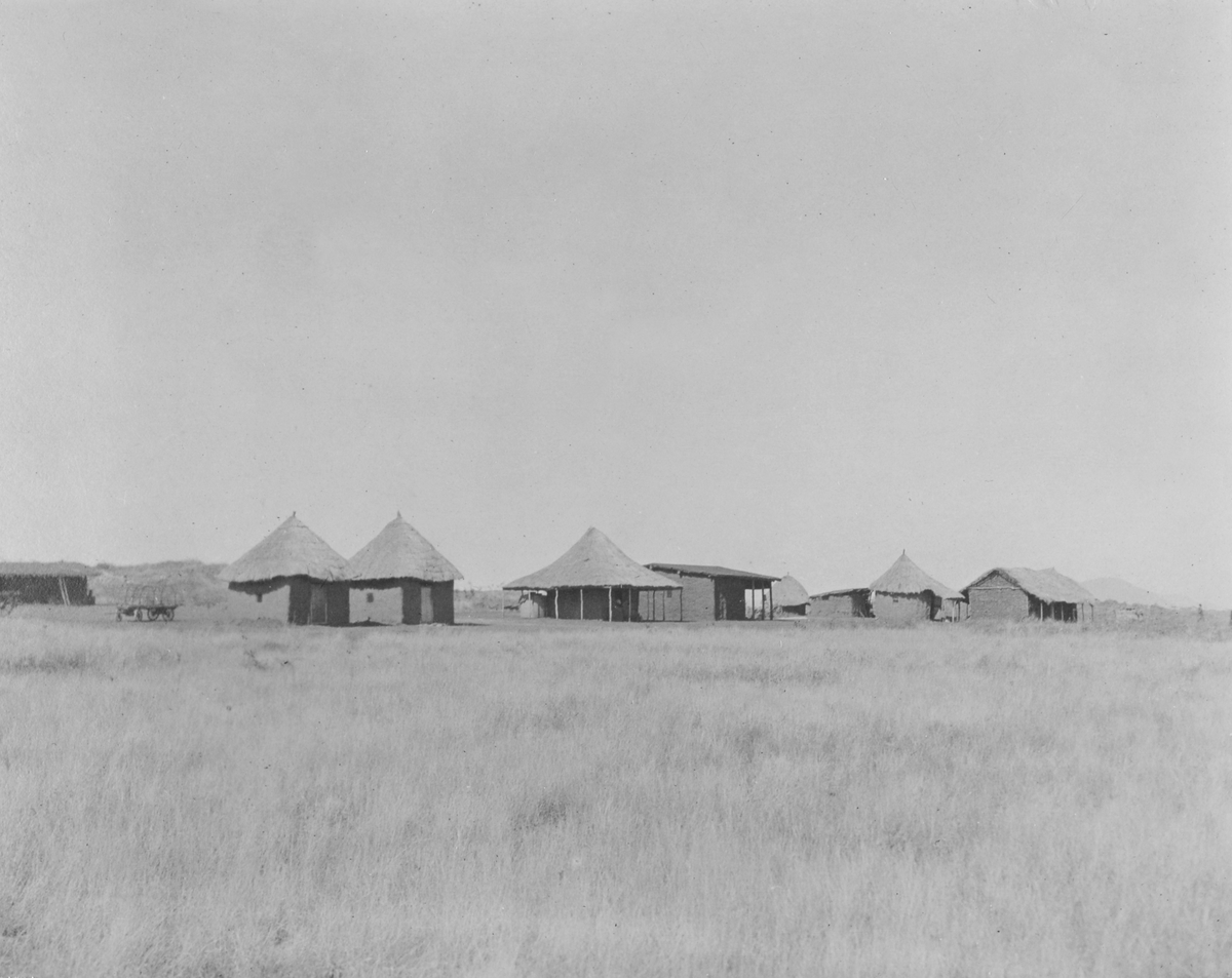 Flere hus av leire og tre og med stråtak står på rekke på savannen i Tanganyika Territories.