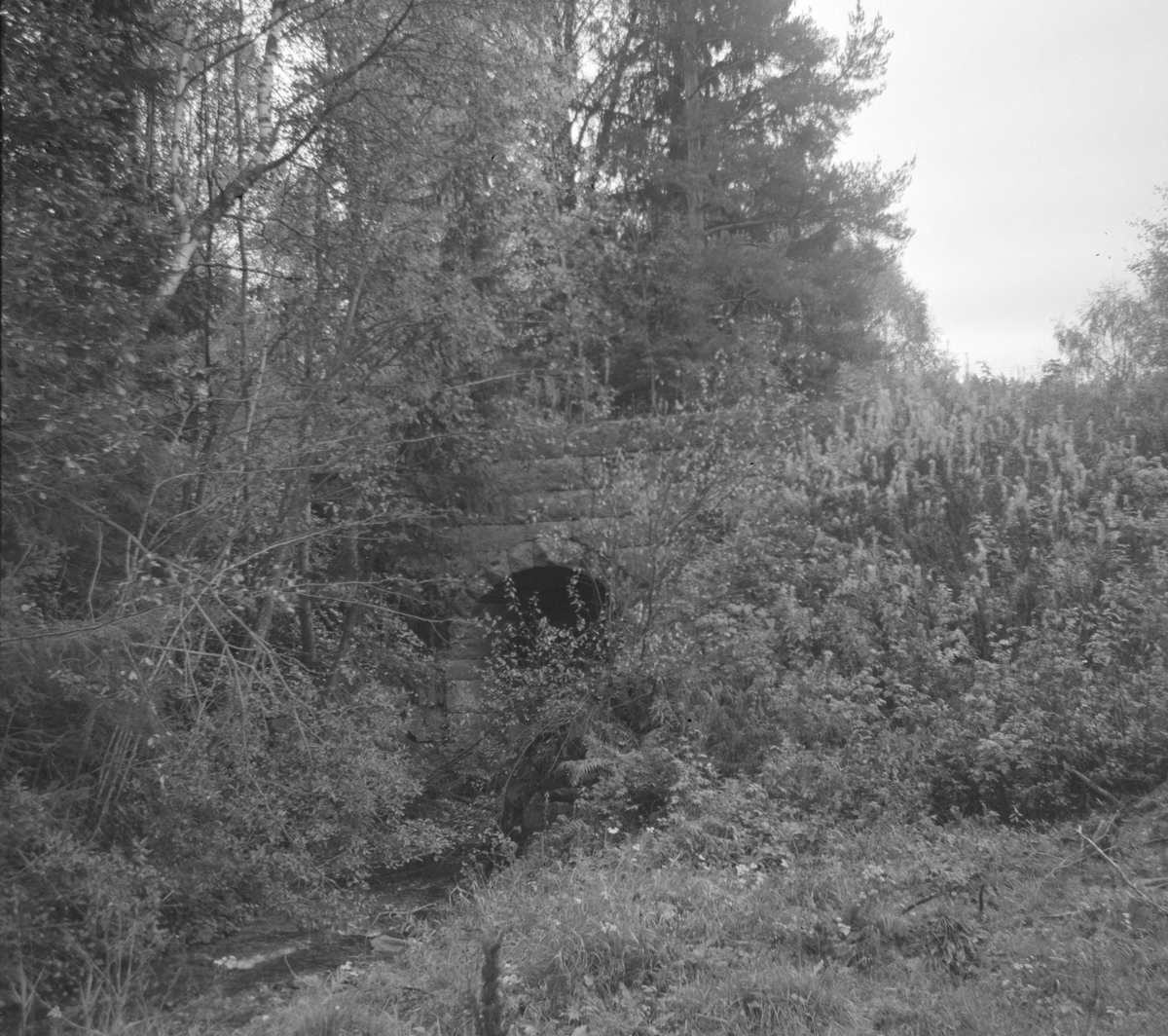 Gammelt steinhvelv ved Kopstad stoppested på nedlagte Tønsberg-Eidsfossbanen.