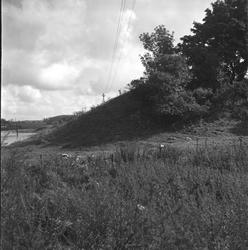 Borarmen ved Lambrechtdammen, bordenden av Olavsvollen, Sarp