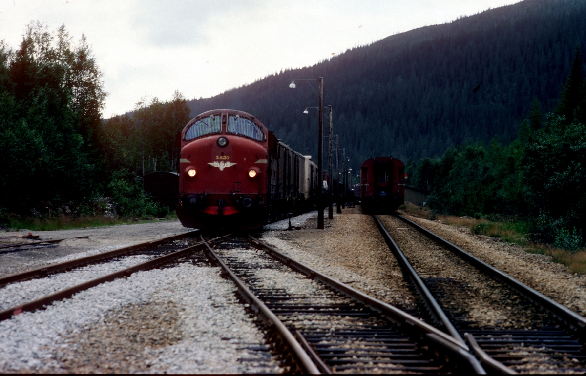 NSB godstog med dieselelektrisk lokomotiv Di 3 620  krysser sørgående dagtog 452 i Lassemoen.