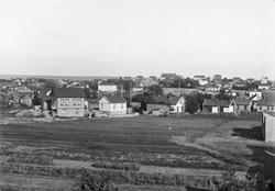 Parti fra Hassingen i Fredrikstad. 1910.
Løkka er der hvor 