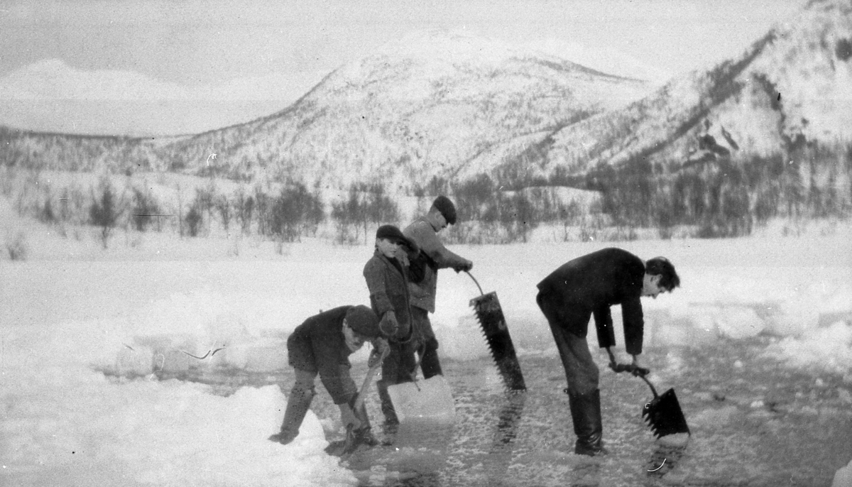 Saging av is på "Mellavikvannet", Skrolsvik i Tranøy.