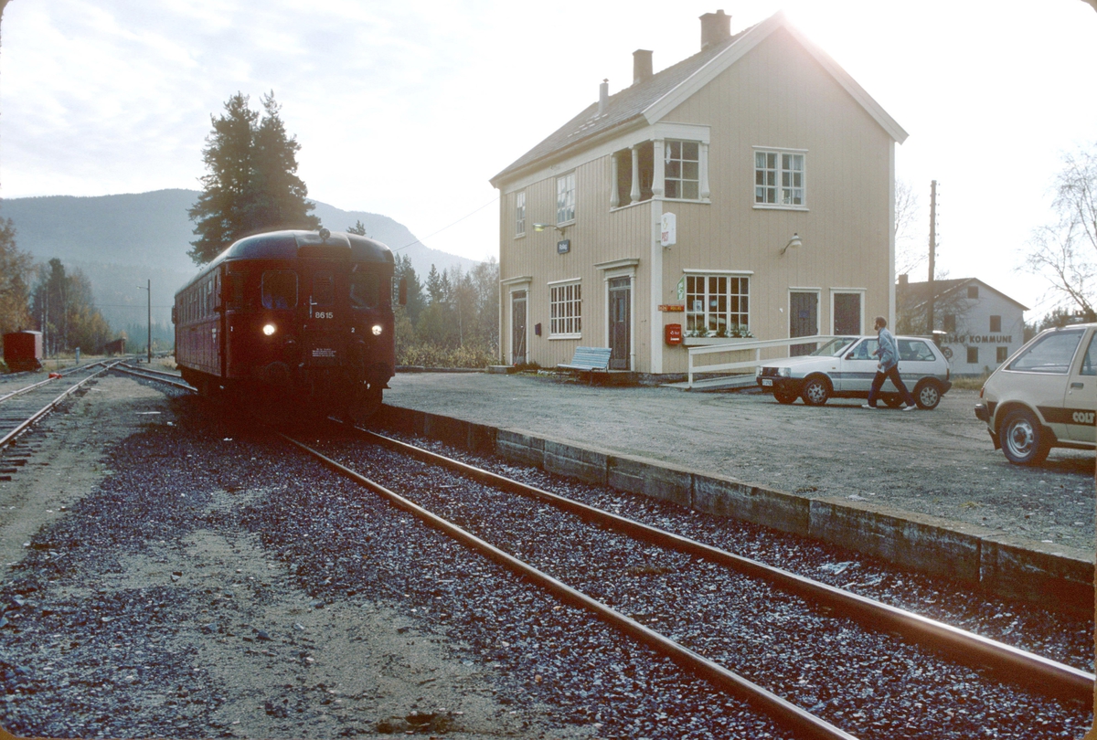 Rollag stasjon med tog til Rødberg. NSB dieselmotorvogn BM 86K 15.