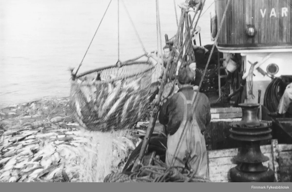 Lofotfiske med notbåten Varfjell, 1953 - B 5710