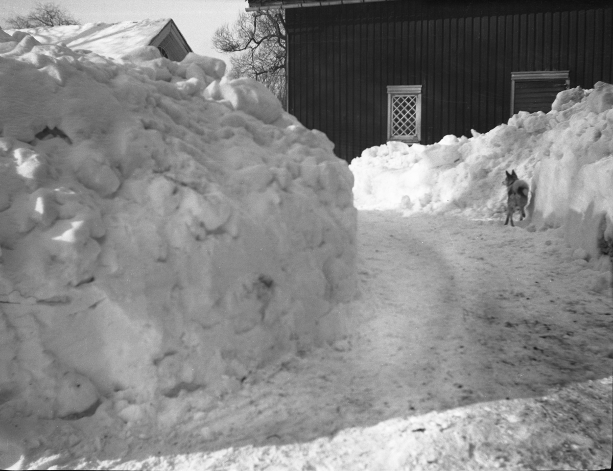 Fotoarkivet etter Gunnar Knudsen Telemark Museum / DigitaltMuseum