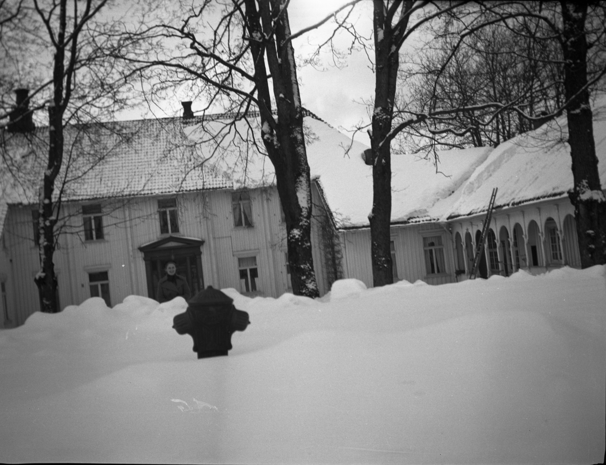 Fotoarkivet etter Gunnar Knudsen. Masse snø foran Borgestad gård. Foran i bildet står det en brannhydrant midt i snøen. Mellom to av trærne står en kvinne.