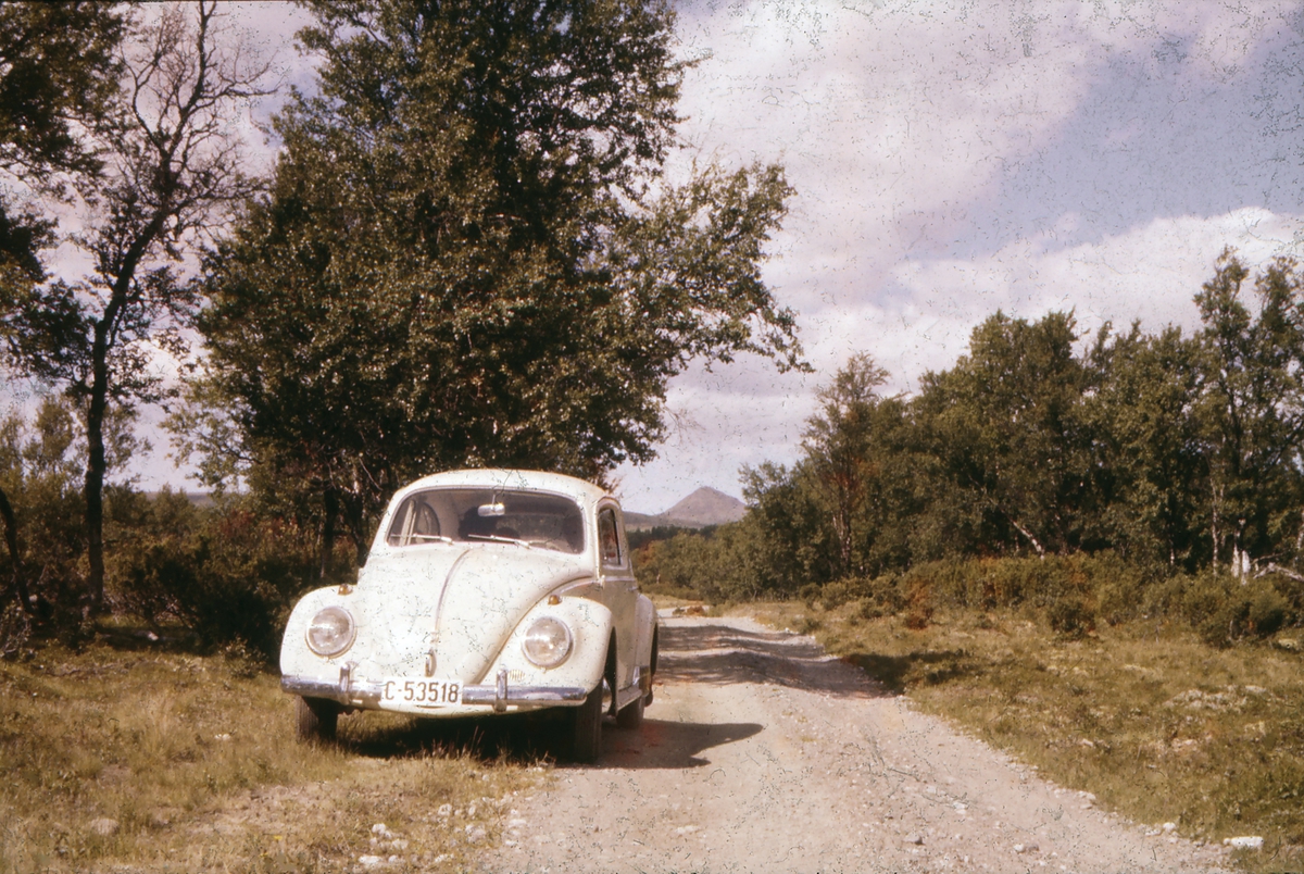 Fra en biltur i Vangrøftdalen til Såttåhaugen. Dalsbygda, Os i Østerdalen. Forollhogna i bakgrunnen. Familiens VW 1200 1961-modell i forgrunnen.