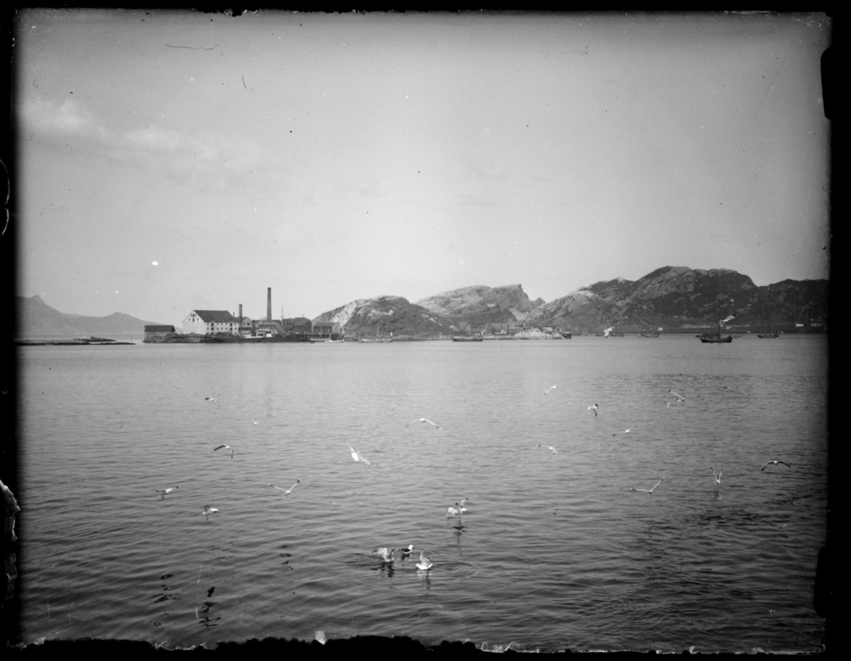 Reisen nordover november 1912. Bodø.