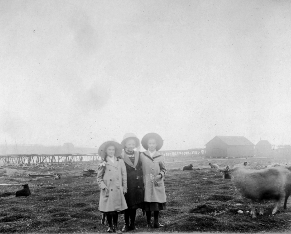 Trekløveret: Erna, Astri, Helga. 1911