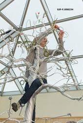 Fra arbeidet med utstillingsprosjektet «Det fantastiske tree