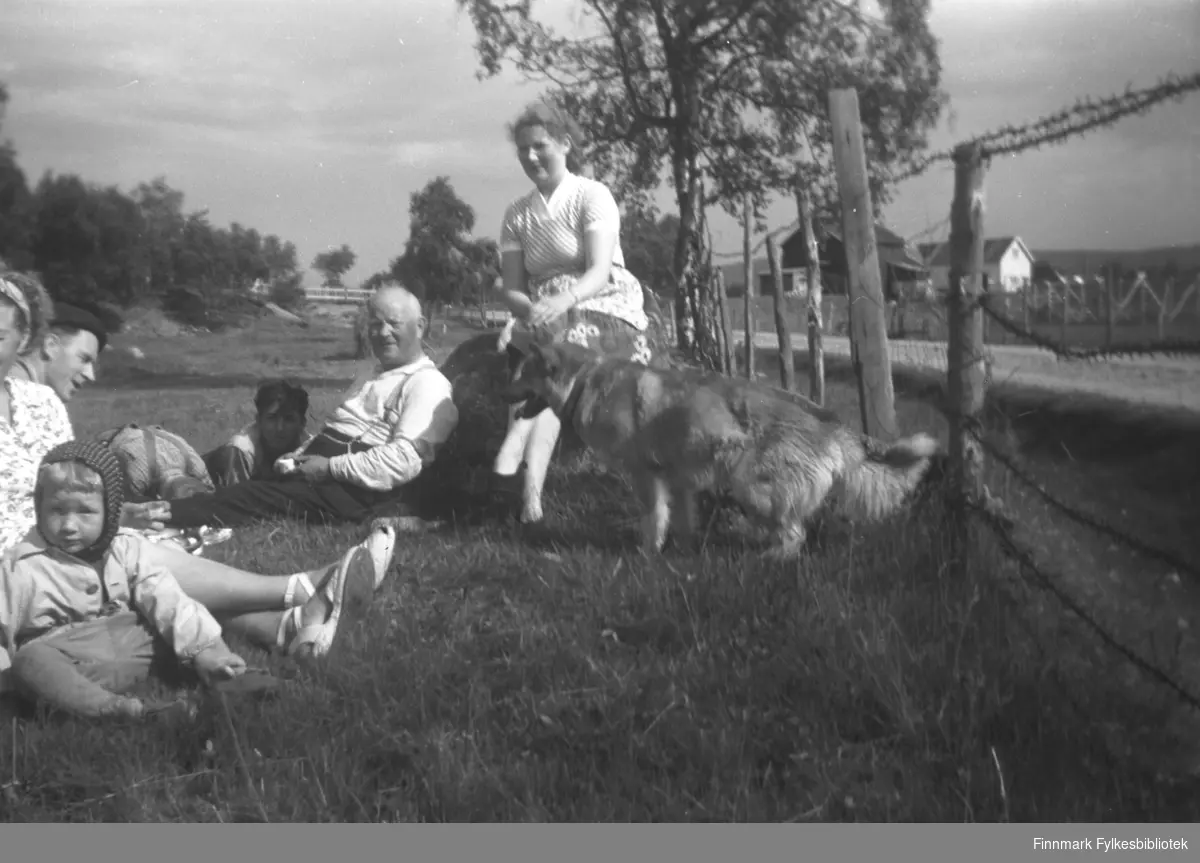 Slåttearbeid på 'badejordet', gården Mikkelsnes i Neiden, ca. 1956-1957. Fra venstre: Liss-Marion Olsen (liten jente), Synnøve Olsen (bare halve ansiktet synlig på bildet), Per Sivle Olsen, ukjent, Trygve Dørmænen, Aksel konrad Mikkola og Kari Mikkola
