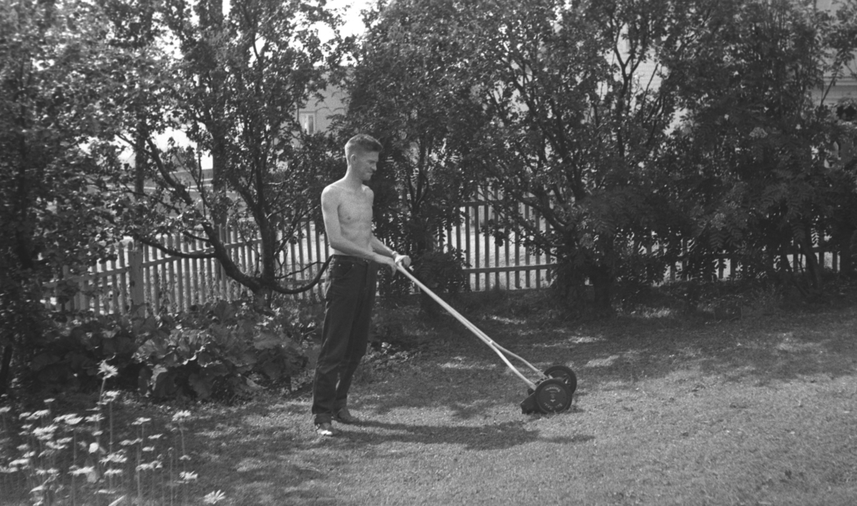 Tor Hauge klipper plenen i familiens hage i Nyborgveien.