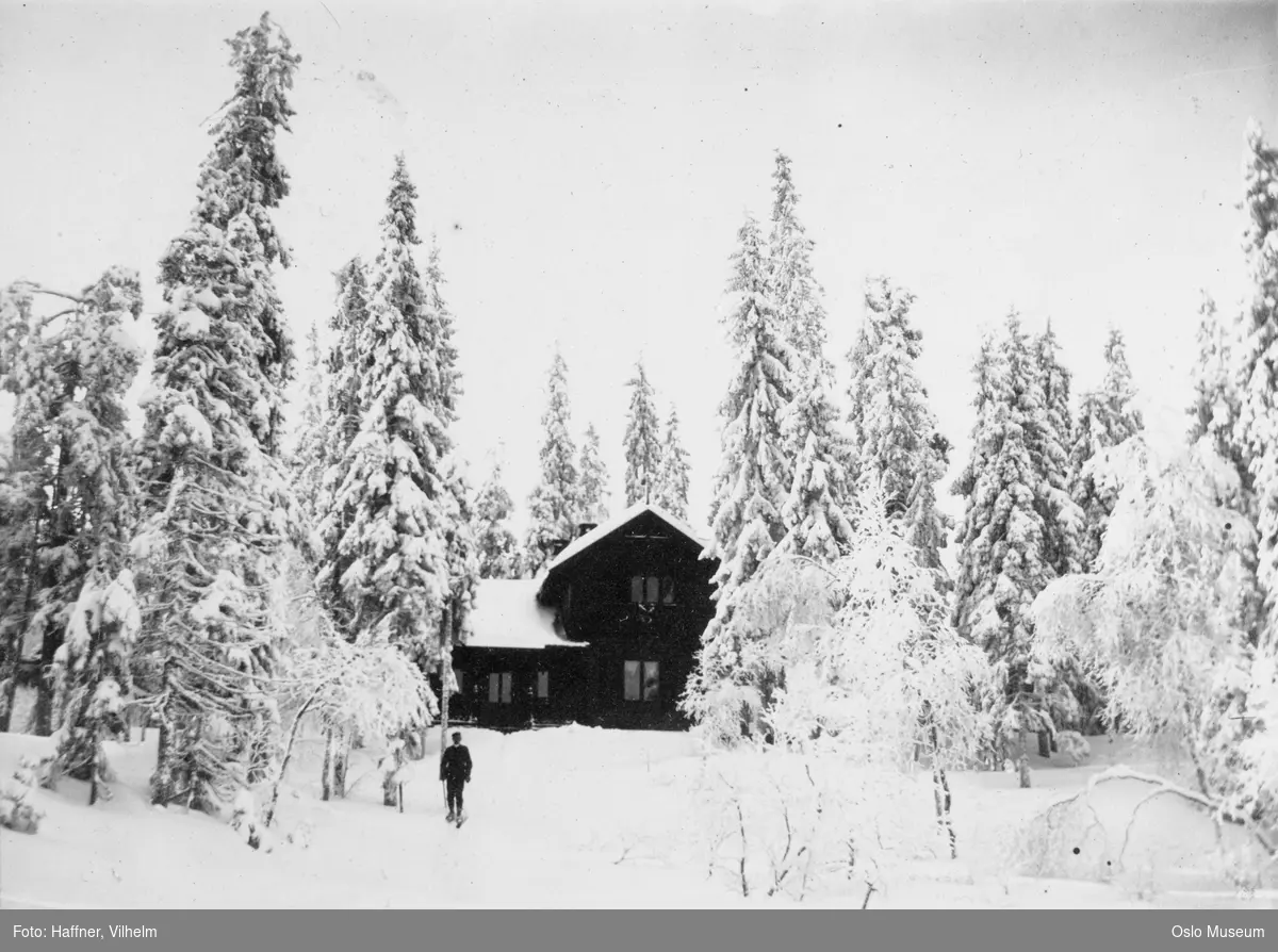 skog, snø, bolighus
