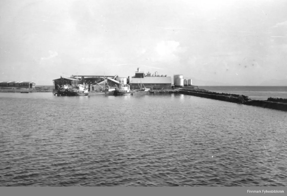 Sildoljefabrikken på Øya på slutten av 1950 tallet