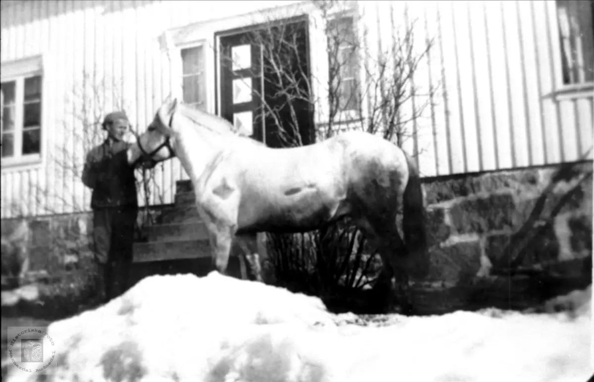 Gerald og hesten.