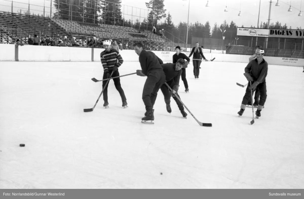 Reportagebilder om ungdomens vintersportlov, fotograferat för Dagbladet. Basket, ishockey, simning, brottning.