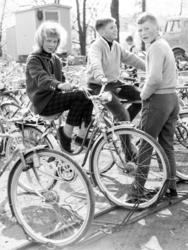 Venter på start. St. Hanshaugen