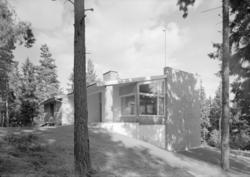 Johansen, Kristine fru