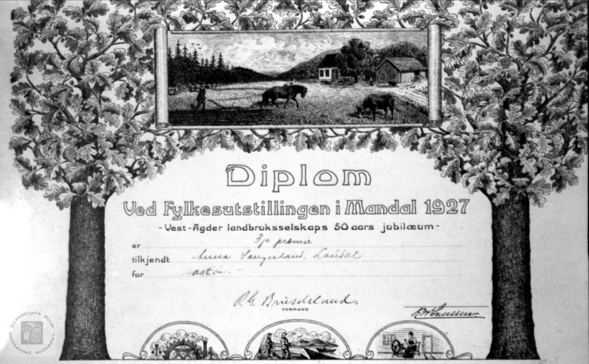 Diplom ved fylkesutstillinga i Mandal 1927, tildelt Anna Saqngesland.