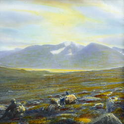 "58. Mod Allesjaure"