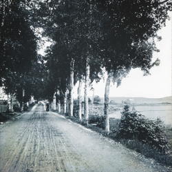 78. Fannestranden, Molde