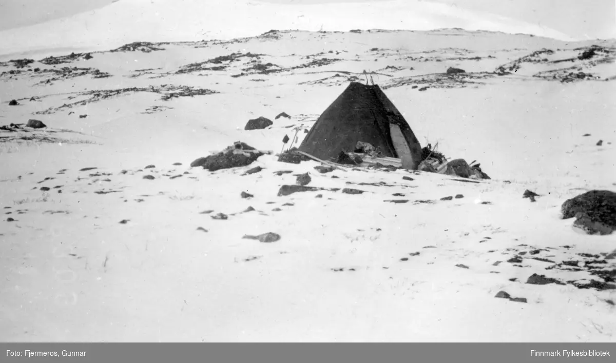 En lavvo er satt opp på fjellet. Stedet er ukjent, men bildet er tatt i april/mai 1948.
