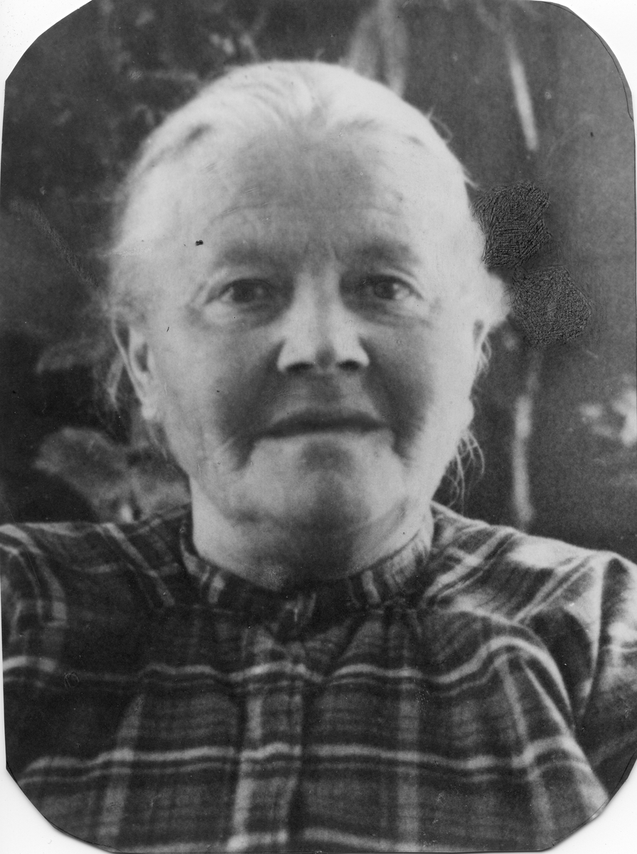 Inger Johanne Pedersen (1861-1944) g. m. Christian Martinussen (Par 1881)

Bodde i nærheten av Blokken på veien til Røsand (Mollvika?).