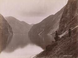 8553 Parti af Geirangerfjord, Søndmør