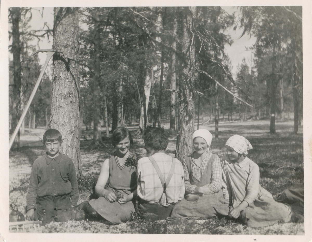 Fem ungdommer sitter i gresset ved en skog. To river er med i motivet, noe som antyder at de tar en pause fra å rake gresset.