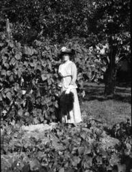 Fotosamling etter Cappelen. Kvinne fotografert i en hage.