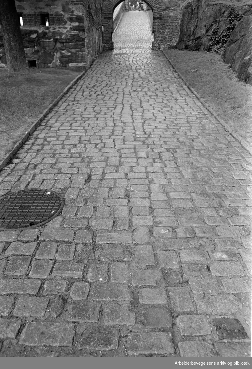 Den brolagte veien mot Akershus slott,.august 1966
