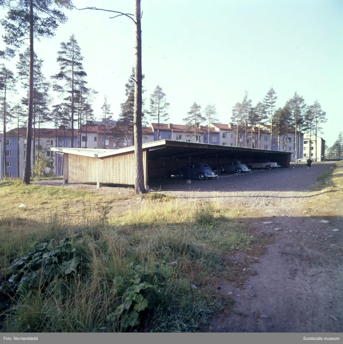 En stor grupp bilder på flerfamiljshusen i bostadsområdet Norrliden i Sundsvall. Baldersvägen, Kungsvägen, Norrlidsgatan, Tivolivägen.