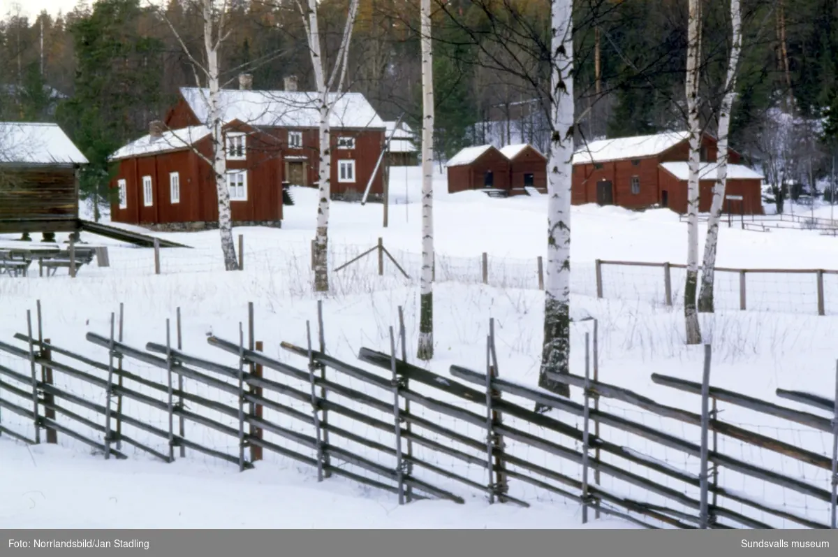 Vinterbild på Torpsgården, Norra berget, med en gärdsgård i förgrunden.