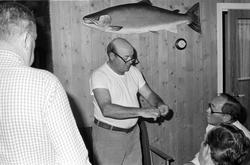 Fluebinding i interiør.