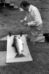 Fangst med person(er).