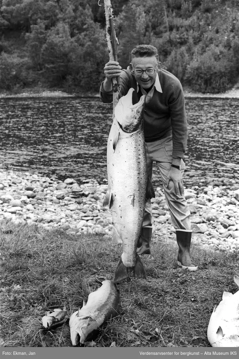 Fangst med personer.

Fotografert 1975.

Fotoserie: Laksefiske i Altaelva i perioden 1970-1988 (av Jan Ekman).
