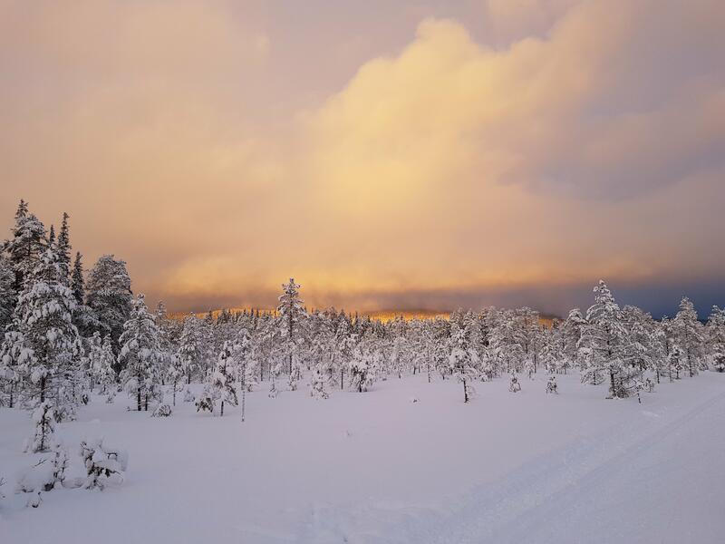 Bildet viser en fin himmel