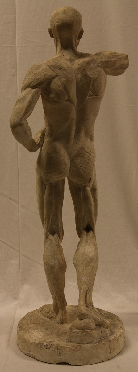 Skulptur av gips (Li-2595 A)
Ark med muskelstudium (Li-2595 B)
Anmeldelse til Statens Kunstutstilling (Li-2595 C)