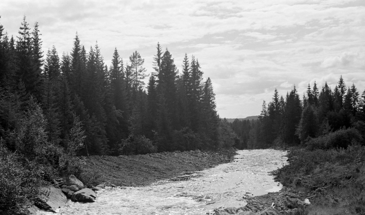 Bulldoserarbeid sommeren 1956. Elveløp med lite vann. Skog.