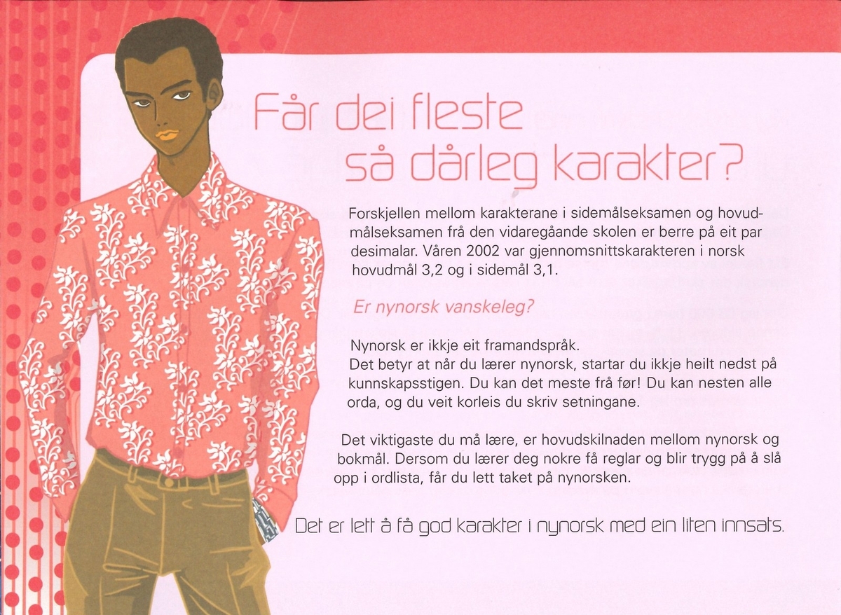 Informasjonsbrosjyre på 12 sider frå Språkrådet om kvifor ein bør lære seg nynorsk.